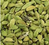 CARDAMOM