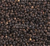 Black Pepper